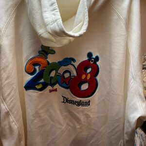 Vintage Disneyland 2008 zip up jacket 3x